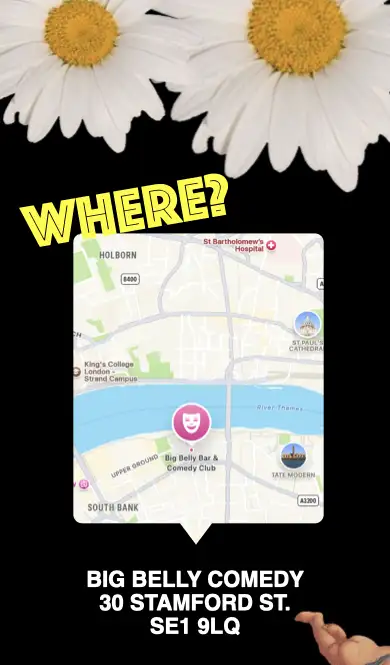 Bottom Video Section